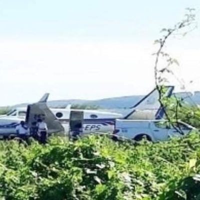 Morre jumento que se chocou com aeronave que transportava vacinas contra Covid-19