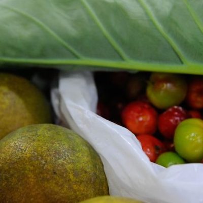 ONU: 931 milhões de toneladas de alimentos foram para o lixo em 2019