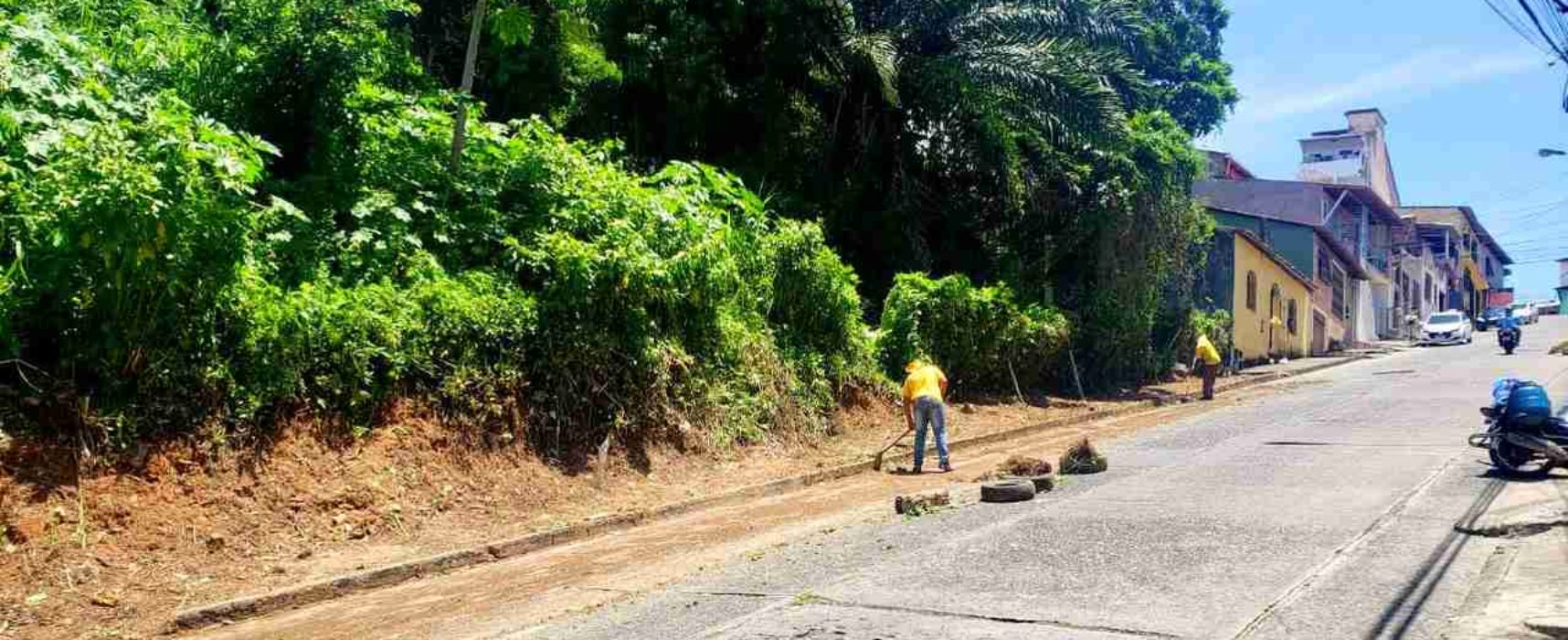 Prefeitura atende pedido de Nino com limpeza e roçagem da avenida Belmonte