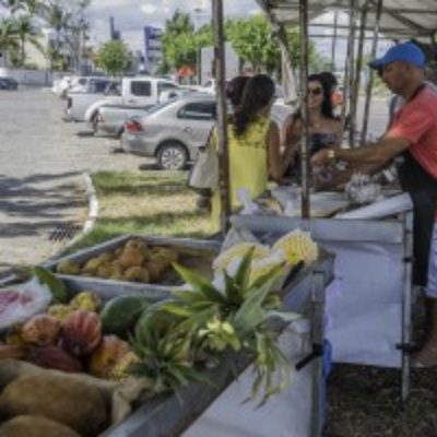 Prefeitura de Itabuna confirma a realização da Feira de Agricultura Orgânica