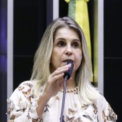 Projeto proíbe censura de conteúdos políticos postados por usuários na internet
