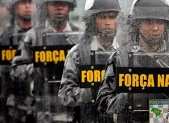 Força Nacional vai apoiar o Ibama em ações na Amazônia Legal