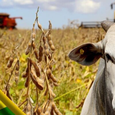 Frente parlamentar quer aprovação urgente de crédito extra para o financiamento agropecuário