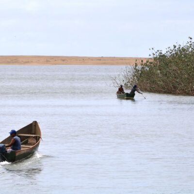 Mariana: pesquisadores encontram metais tóxicos em peixes do Rio Doce