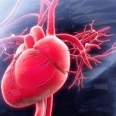 Pfizer: Israel investiga casos de inflamação no coração de vacinados