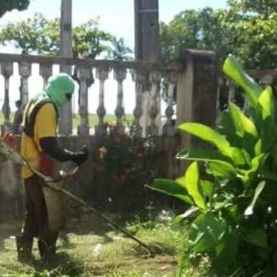 Prefeitura de Ilhéus realiza melhorias com serviços urbanos em alguns pontos da cidade