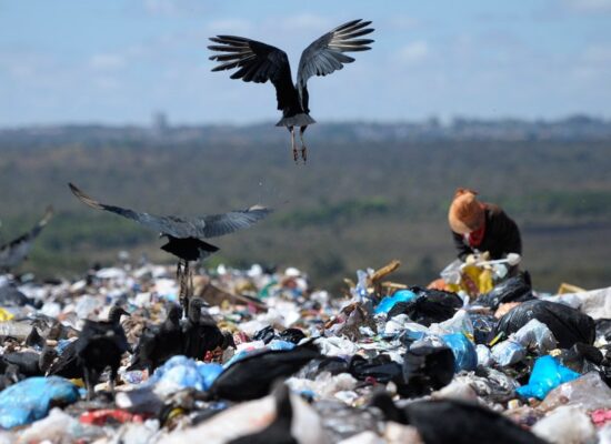 MATÉRIA: Erradicar os lixões no Brasil é questão de saúde pública