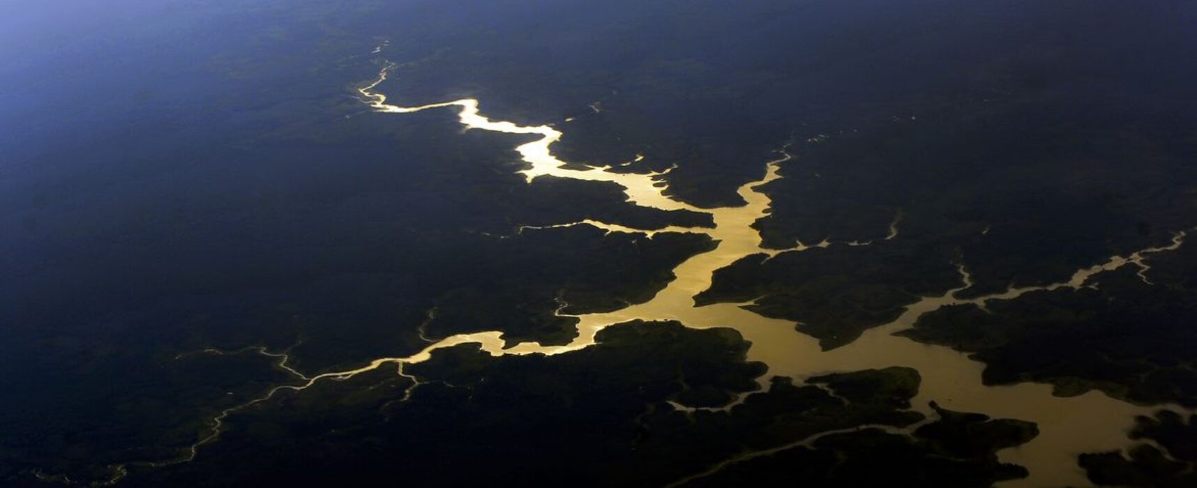 Brasil é o primeiro do mundo em potencial de descoberta de espécies