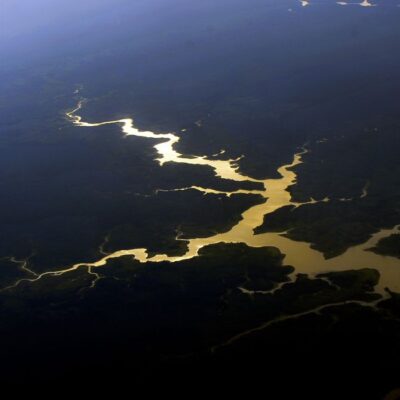 Brasil é o primeiro do mundo em potencial de descoberta de espécies