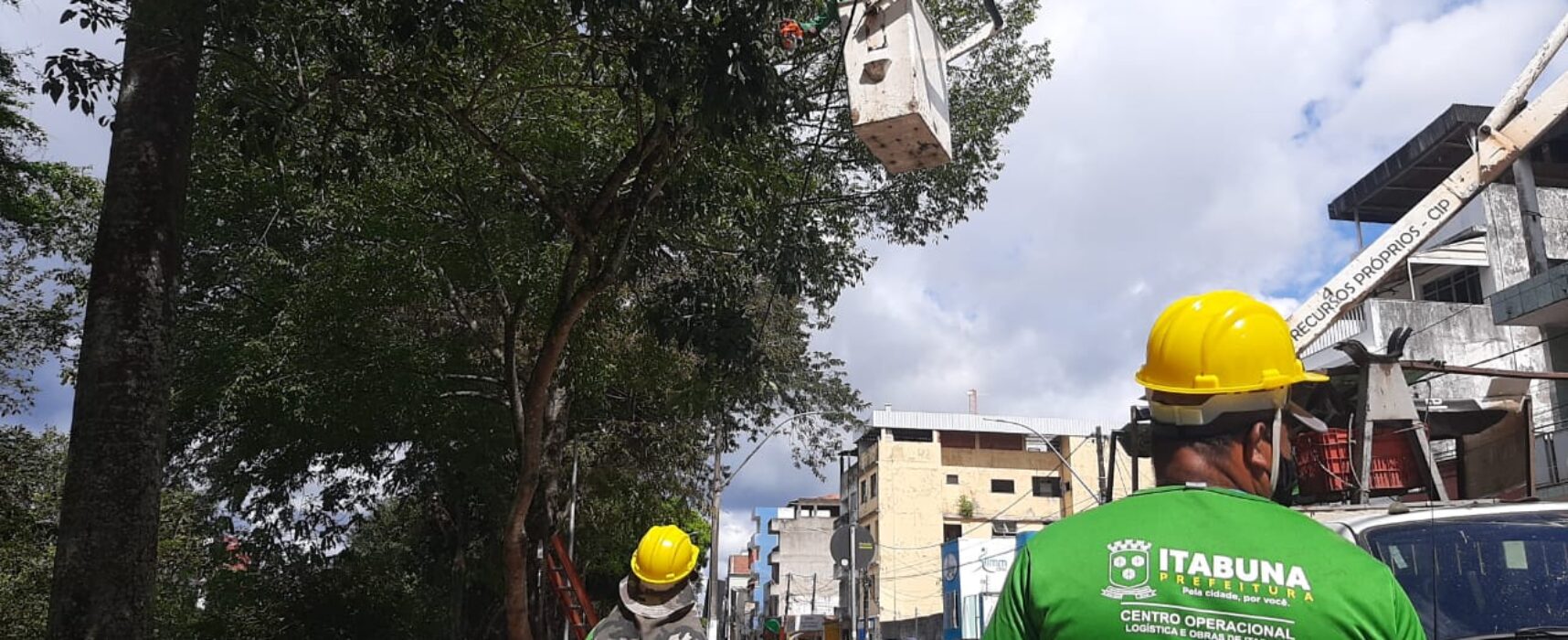 Prefeitura intensifica ação preventiva em Itabuna com a poda de árvores