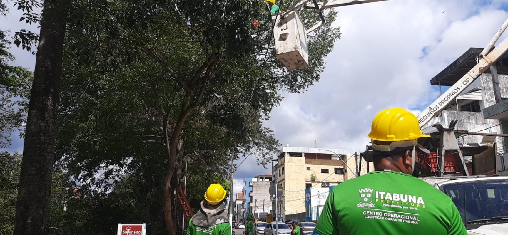 Prefeitura intensifica ação preventiva em Itabuna com a poda de árvores