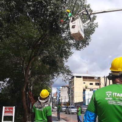 Prefeitura intensifica ação preventiva em Itabuna com a poda de árvores
