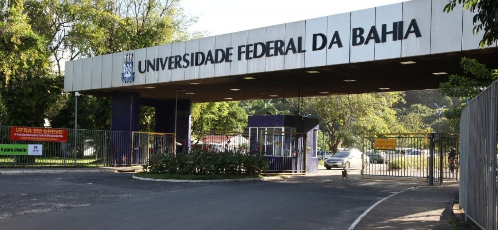 UFBA mantém suspensão de atividades presenciais e semestre 2021.2 será online