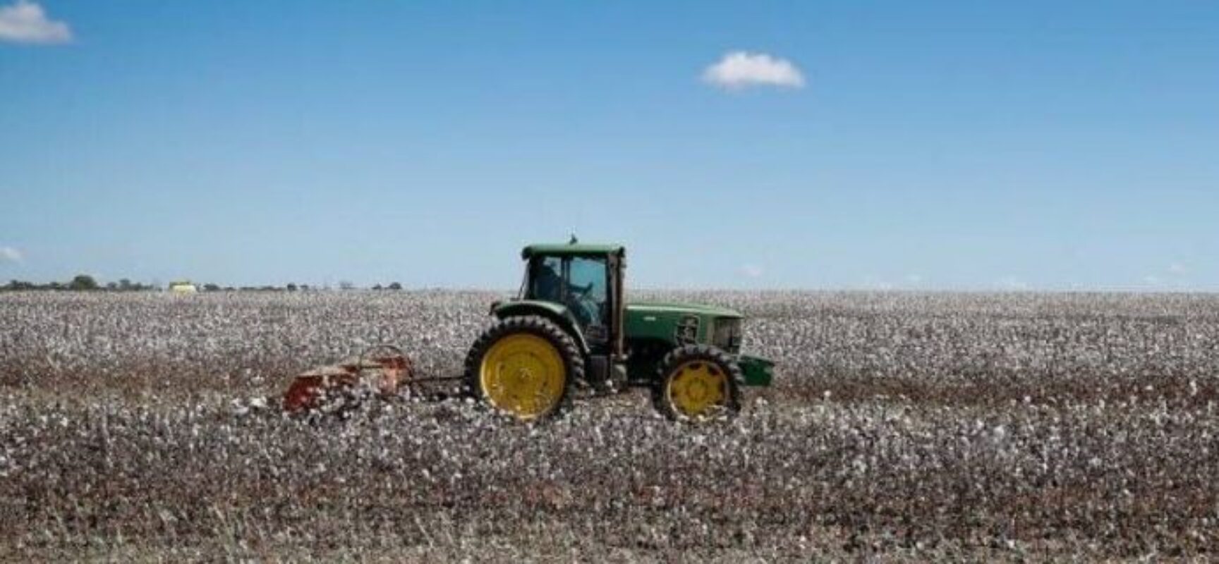 Agronegócio torna regiões do interior da Bahia imunes à crise
