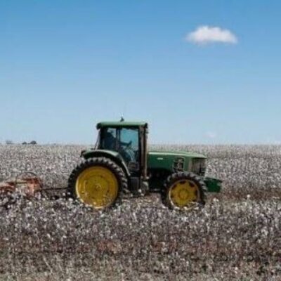 Agronegócio torna regiões do interior da Bahia imunes à crise