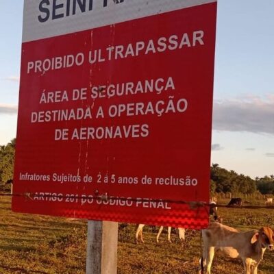 BELMONTE: Interditado, aeroporto no sul da Bahia vira pasto para vacas e cavalos