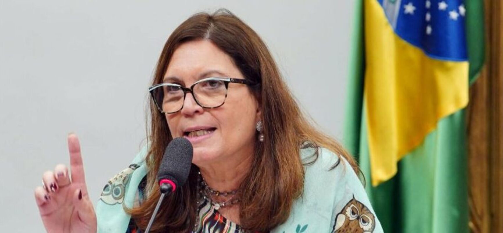 Bia Kicis, autora da PEC do voto impresso: ‘Não é possível provar fraude’