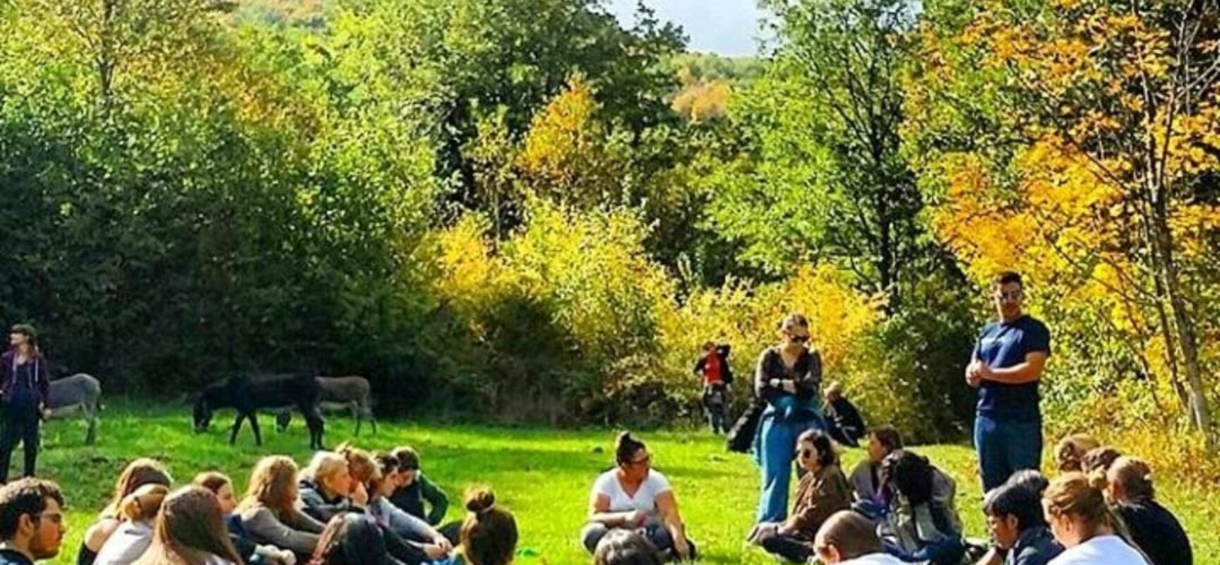 Cooperbom Turismo seleciona jovens para intercâmbios na Polônia e na Itália