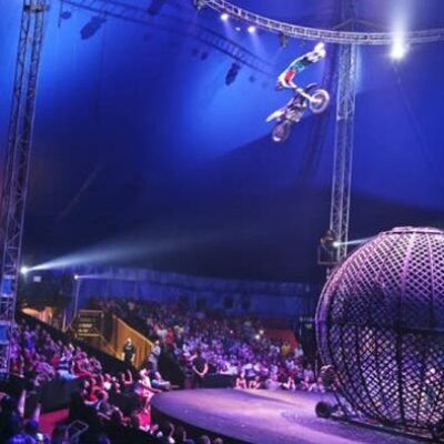 Dono do circo Le Cirque comemora retorno das atividades em Salvador