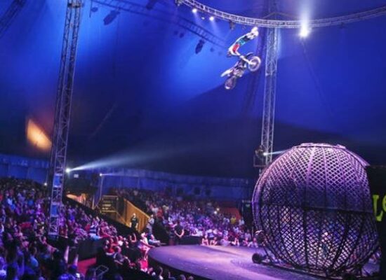 Dono do circo Le Cirque comemora retorno das atividades em Salvador