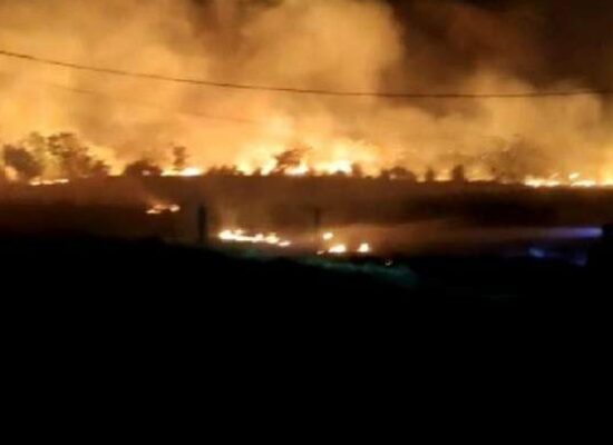 Incêndio atinge área de 20 mil metros em Guanambi