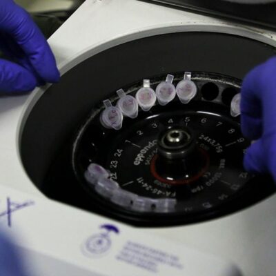 Lei permite que indústria veterinária produza vacina contra covid