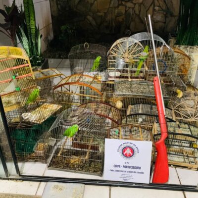 PM LIBERTA ANIMAIS SILVESTRES MANTIDOS EM CATIVEIRO EM ILHÉUS