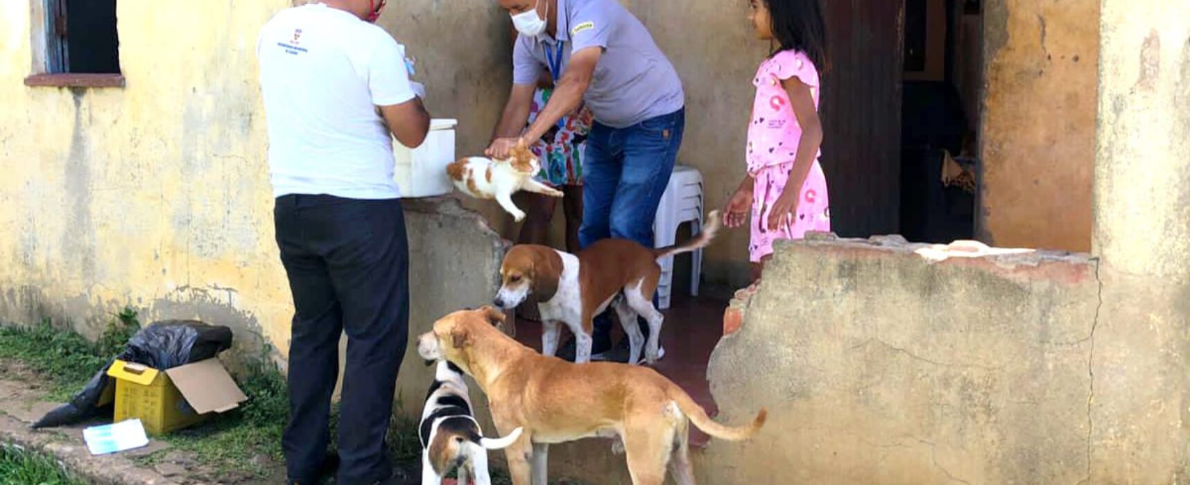 Diretoria de Zoonoses prossegue com vacinação antirrábica em Itabuna nesta sexta