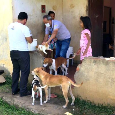 Diretoria de Zoonoses prossegue com vacinação antirrábica em Itabuna nesta sexta