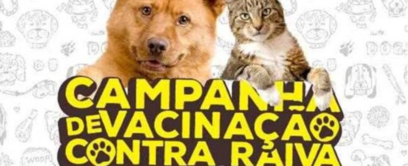 Iniciada a Campanha de Vacinação Antirrábica em Itabuna