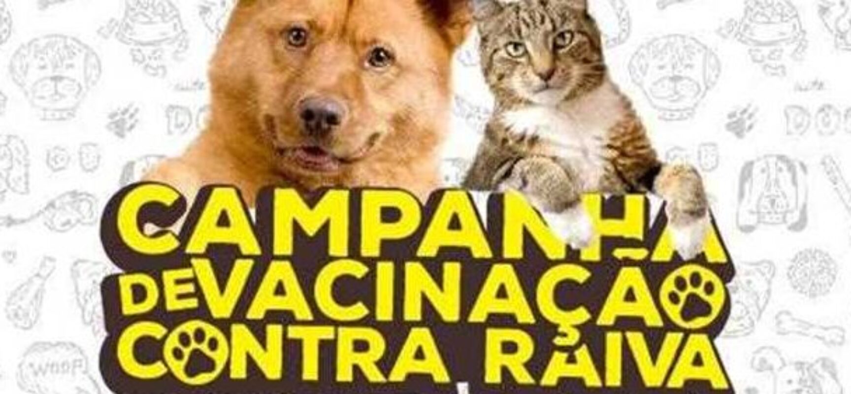 Prefeitura de Ilhéus inicia campanha de vacinação antirrábica nesta terça (31)