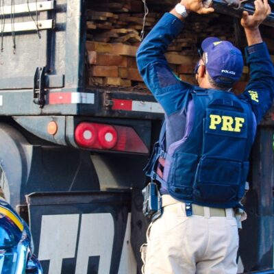 PRF apreende carga ilegal de madeira em Itabuna