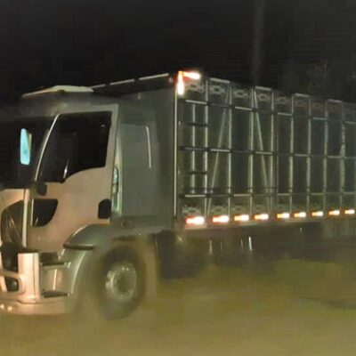 PRF prende suspeitos de roubo de animais no interior da Bahia
