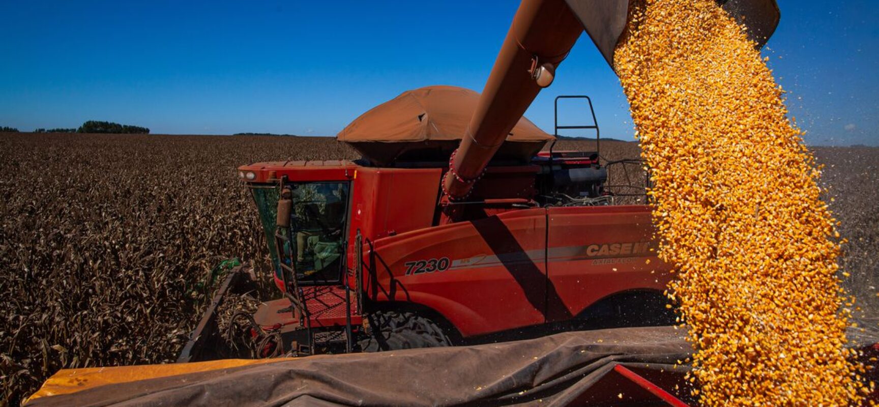 Balança comercial tem superávit de US$ 1,102 bi no início de outubro