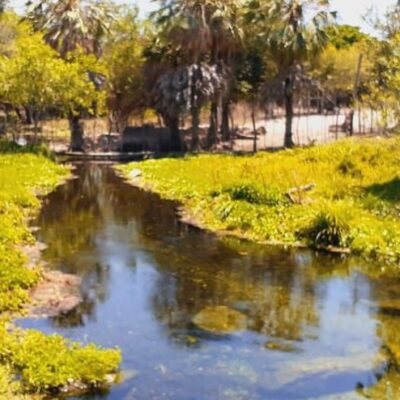 Futuro da energia: preservar nascentes para aumentar reservatórios