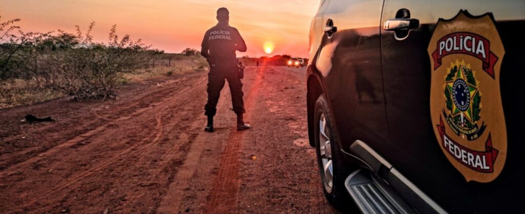 PF deflagra operação contra crimes ambientais na Bahia