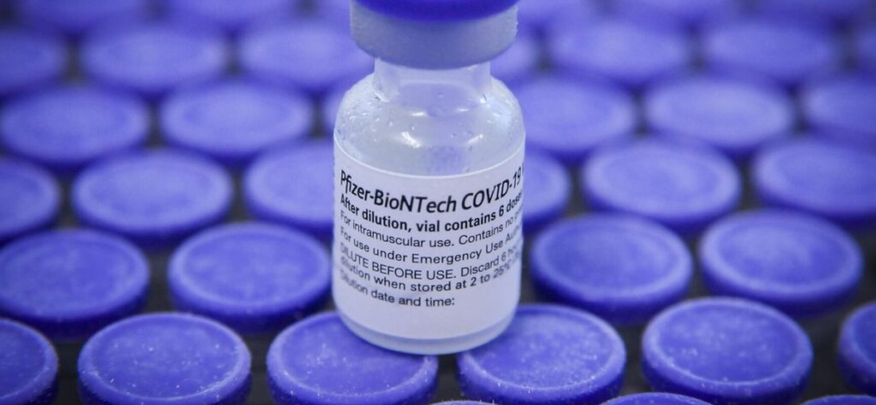 Pfizer entrega mais 1,3 milhão de doses de vacina ao Brasil