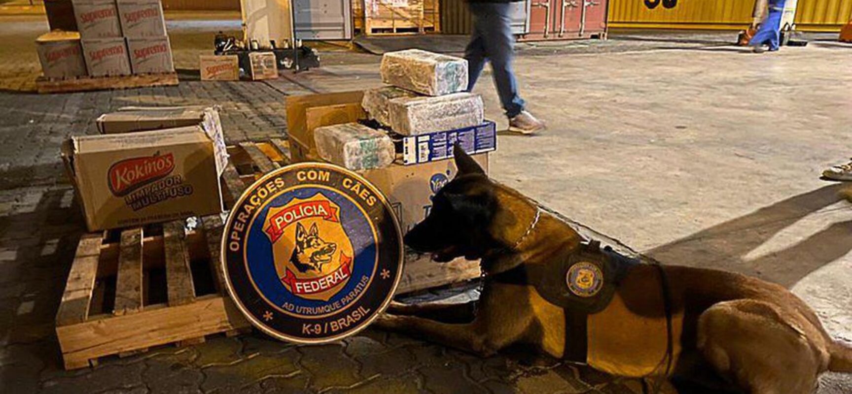 Polícia Federal apreende 5 toneladas de cocaína no porto do Rio