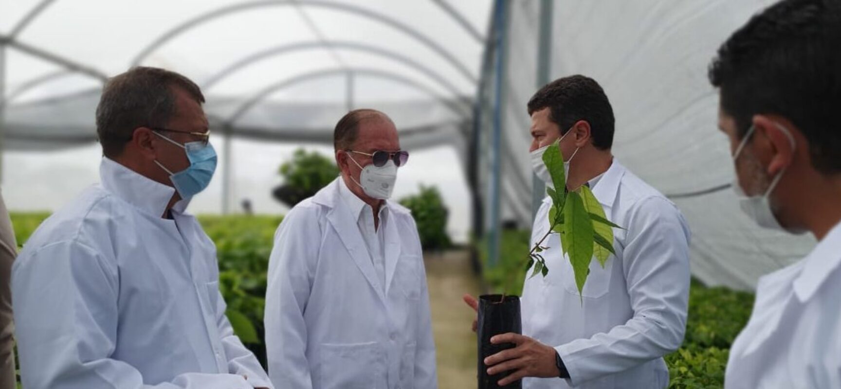 ‘Cacauicultura começa a ganhar espaço no Oeste baiano’, diz Leão