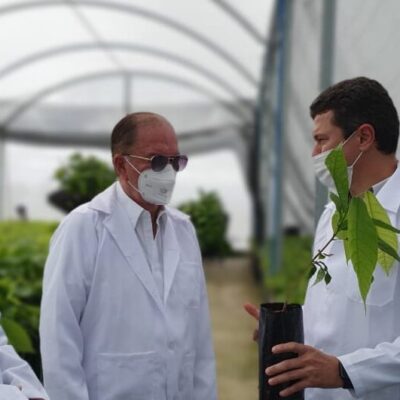 ‘Cacauicultura começa a ganhar espaço no Oeste baiano’, diz Leão