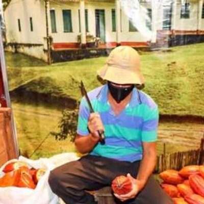 Ilhéus: Festival Internacional do Chocolate reúne 25 mil visitantes em quatro dias de evento