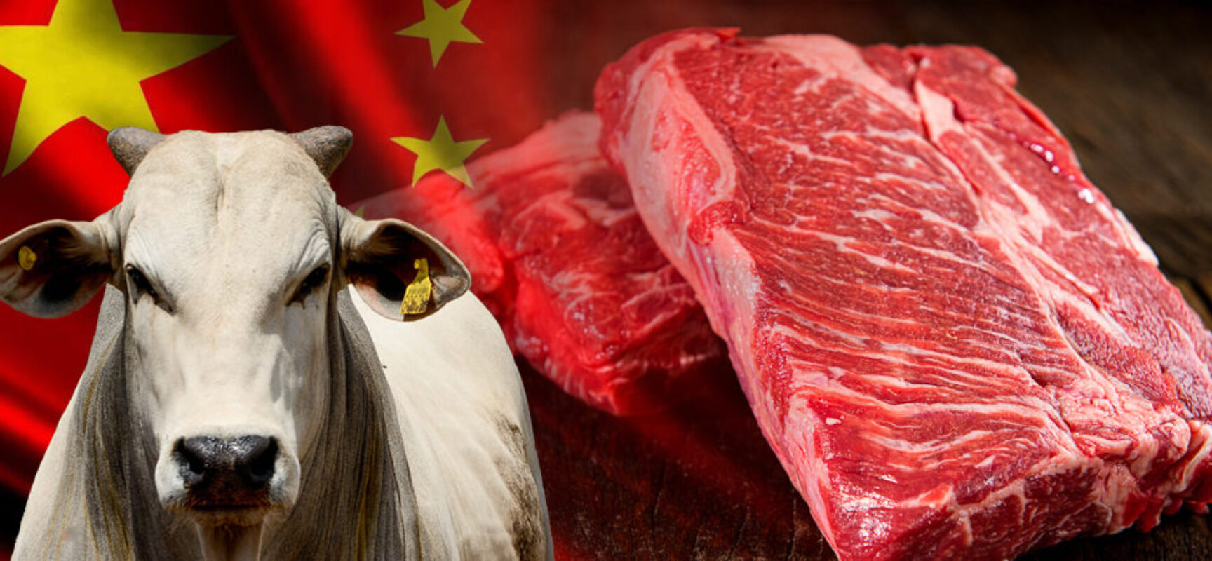 *DIEGO ARRUDA: Fim do embargo chinês, o que vai acontecer com o preço da carne no Brasil?