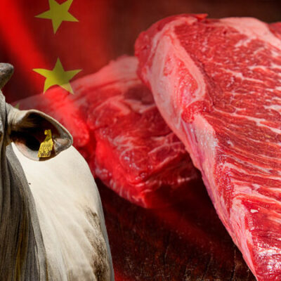*DIEGO ARRUDA: Fim do embargo chinês, o que vai acontecer com o preço da carne no Brasil?
