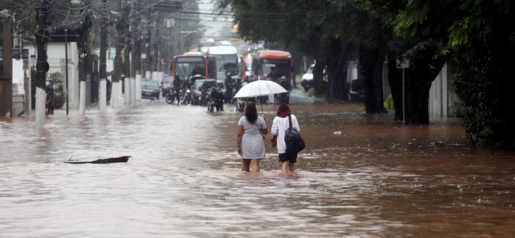 Estado de SP registra 18 mortes em decorrência das fortes chuvas