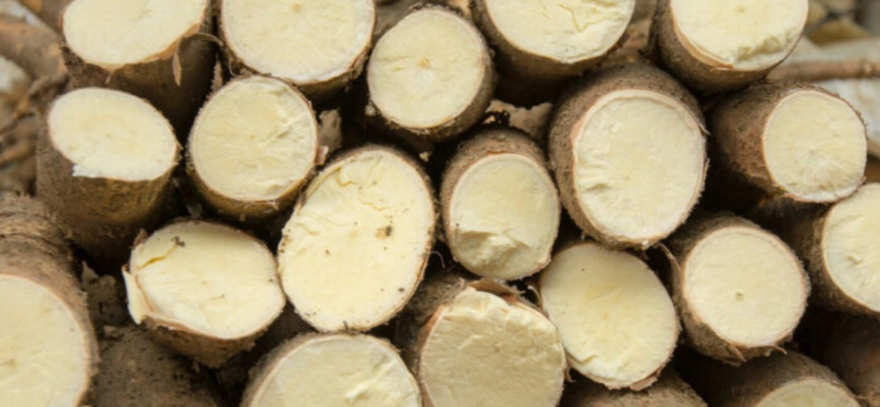 SDR assina convênios para a construção de casa de farinha e unidade classificadora de ovos em Mascote