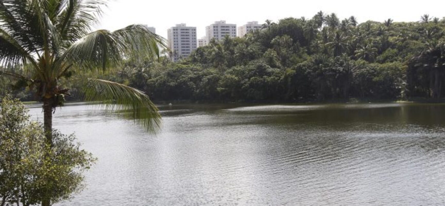 Bahia tem nove PPPs e 40 concessões e prevê novos contratos em 2022