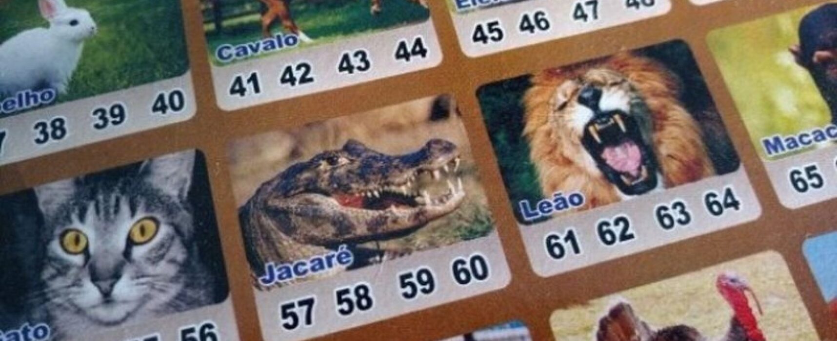 Jogos de azar podem gerar contribuição de 17% e IR de 20% para prêmios a partir de R$ 10 mil