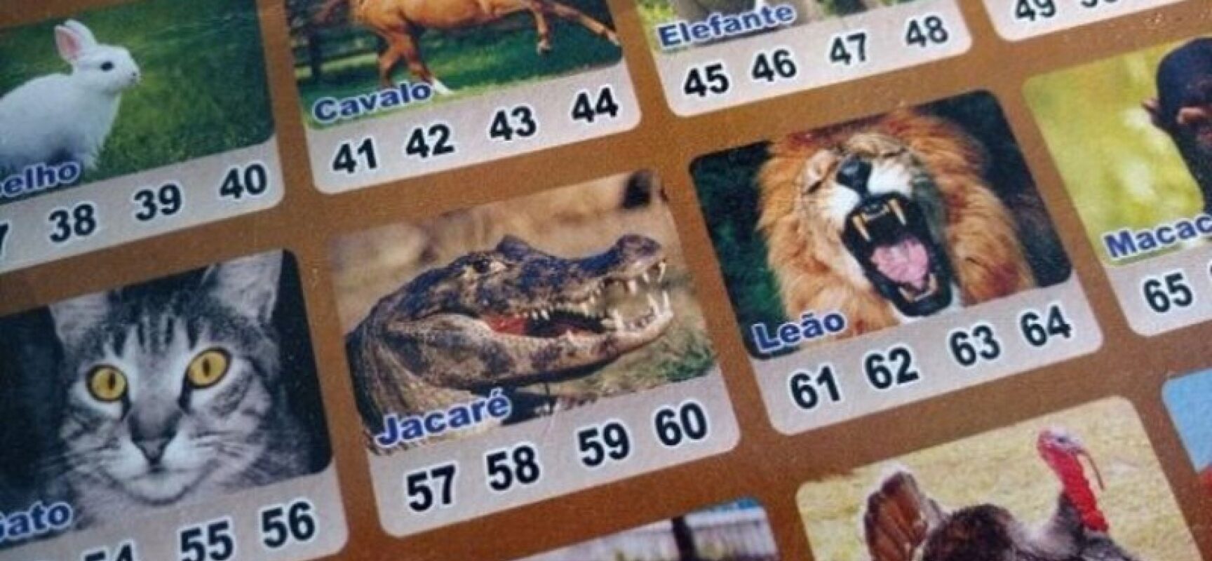 Jogos de azar podem gerar contribuição de 17% e IR de 20% para prêmios a partir de R$ 10 mil