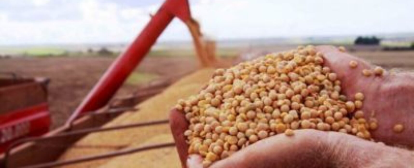 Colheita avança para cerca de 70% da soja do Brasil