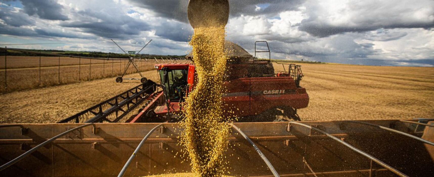 Comércio exterior do agronegócio tem saldo de US$ 9,3 bi em fevereiro